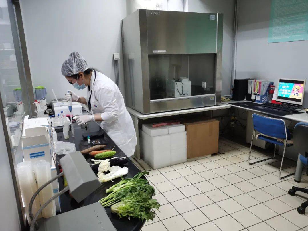 城中食品检测实验室装修方案